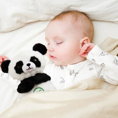 Panda Breathing Bear | دب باندا التنفسي